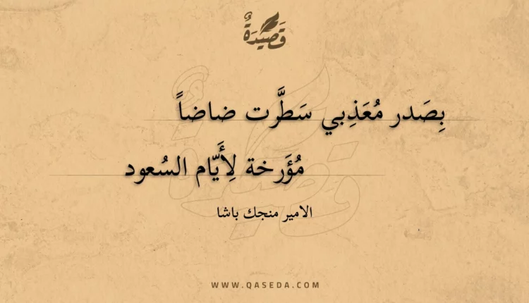 قصيدة بصدر معذبي سطرت ضاضا