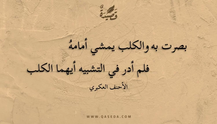 قصيدة بصرت به والكلب يمشي أمامه