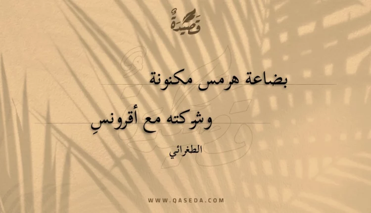 قصيدة بضاعة هرمس مكنونة