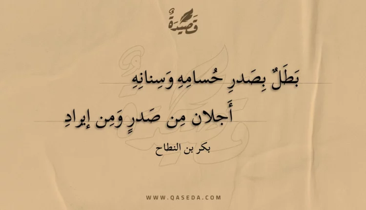 قصيدة بطل بصدر حسامه وسنانه