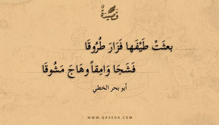 قصيدة بعثت طيفها فزار طروقا