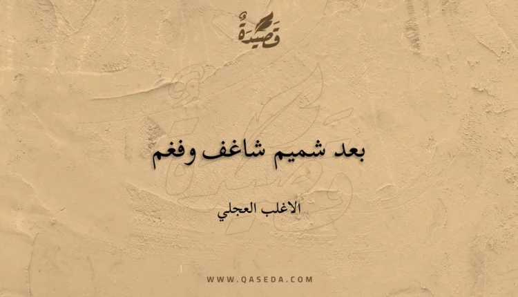 قصيدة بعد شميم شاغف وفغم