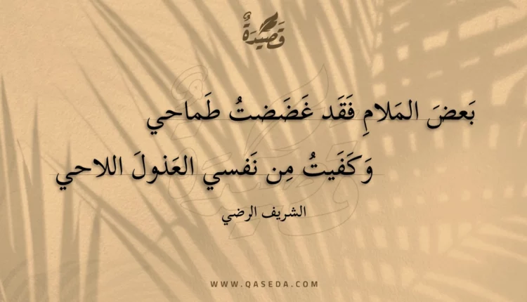 قصيدة بعض الملام فقد غضضت طماحي