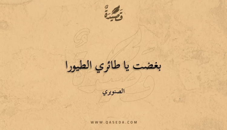 قصيدة بغضت يا طائري الطيورا