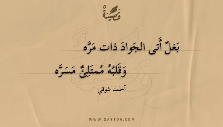 قصيدة بغل أتى الجواد ذات مره