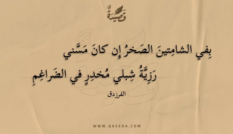 قصيدة بفي الشامتين الصخر إن كان مسني