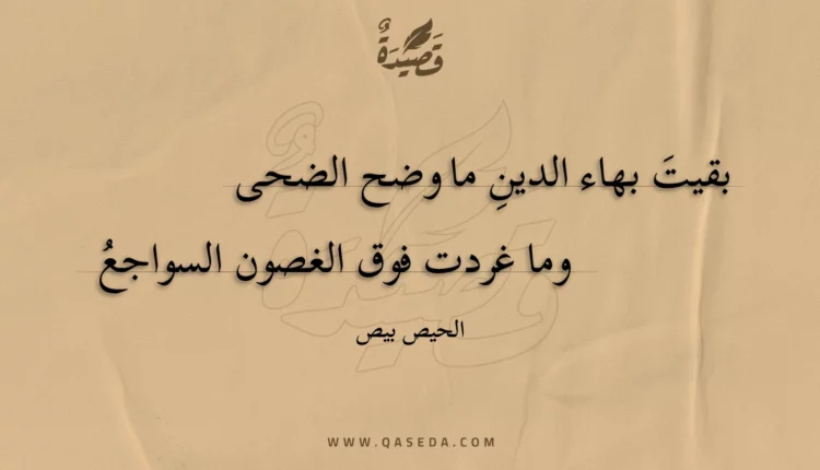 قصيدة بقيت بهاء الدينِ ما وضح الضحى