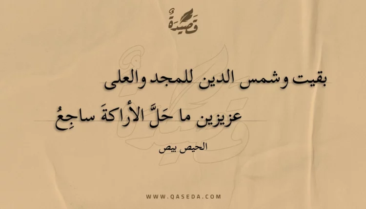 قصيدة بقيت وشمس الدين للمجد والعلى