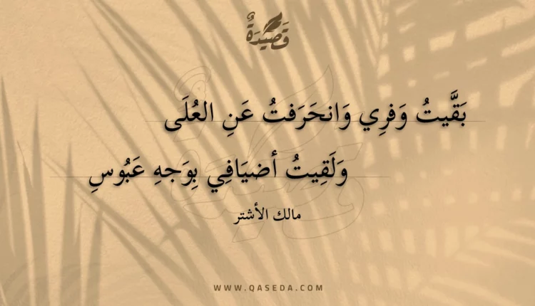 قصيدة بقيت وفري وانحرفت عن العلى