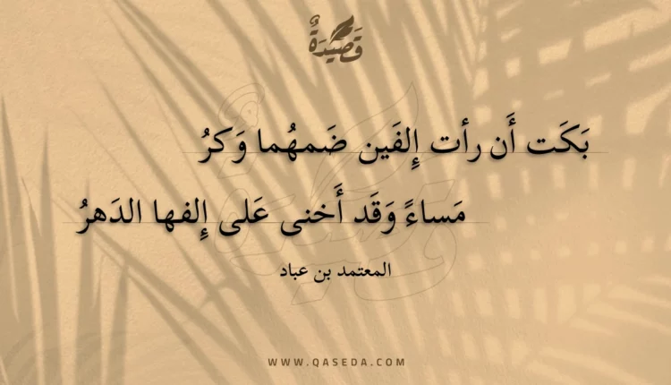 قصيدة بكت أن رأت إلفين ضمهما وكر