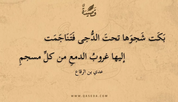 قصيدة بكت شجوها تحت الدجى فتناجمت