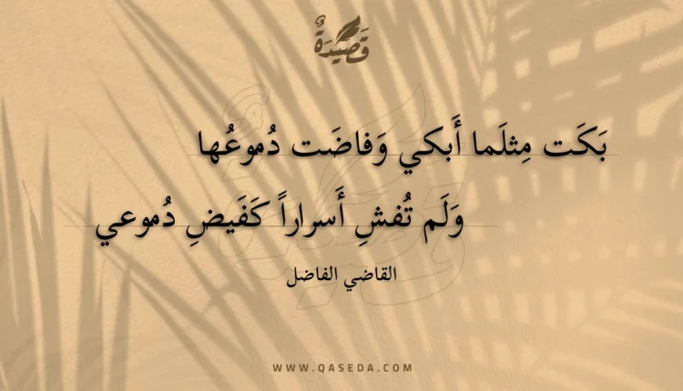 قصيدة بكت مثلما أبكي وفاضت دموعها