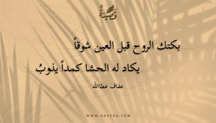 قصيدة بكتك الروح قبل العين شوقاً