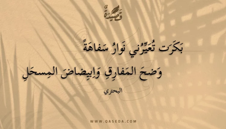قصيدة بكرت تعيرني نوار سفاهة