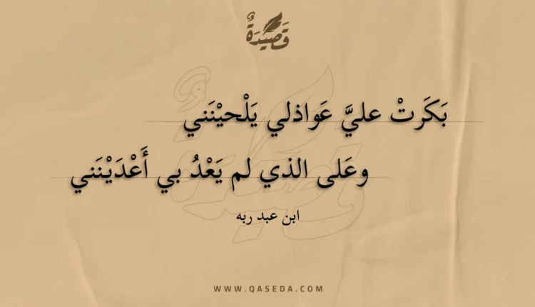 قصيدة بكرت علي عواذلي يلحينني