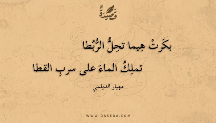 قصيدة بكرت هيما تحل الربطا