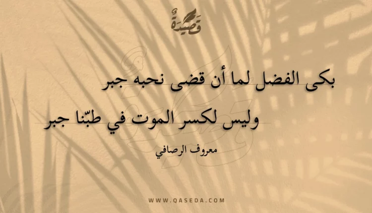 قصيدة بكى الفضل لما أن قضى نحبه جبر