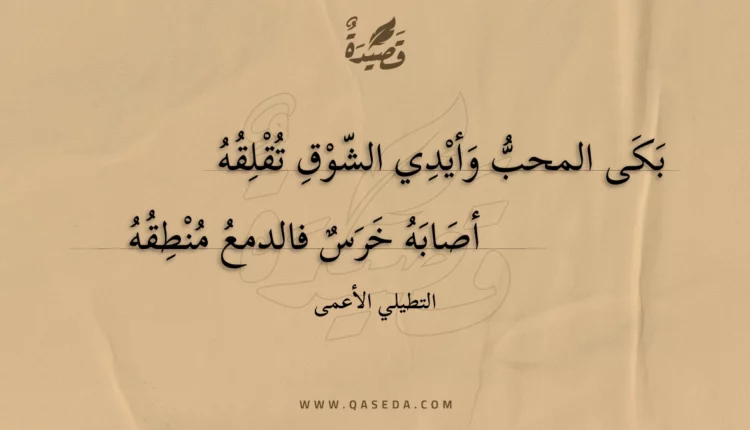 قصيدة بكى المحب وأيدي الشوق تقلقه