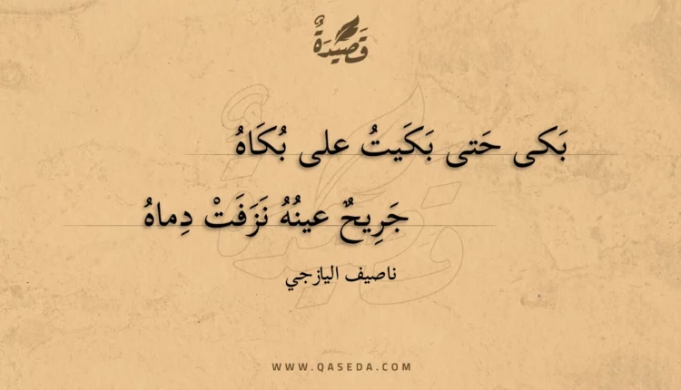 قصيدة بكى حتى بكيت على بكاه
