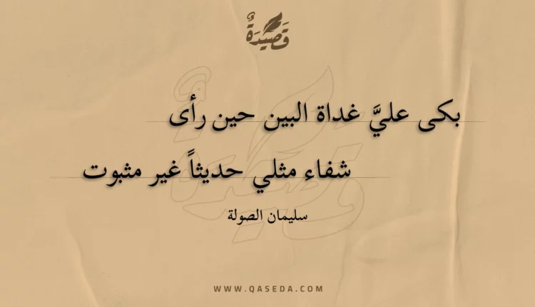 قصيدة بكى علي غداة البين حين رأى