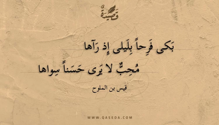 قصيدة بكى فرحا بليلى إذ رآها