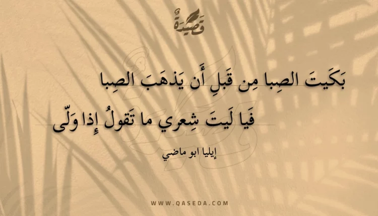 قصيدة بكيت الصبا من قبل أن يذهب الصبا