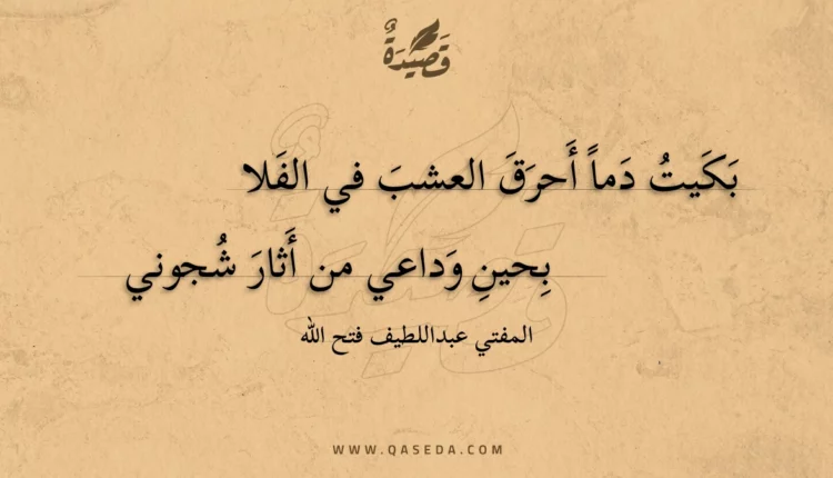 قصيدة بكيت دما أحرق العشب في الفلا
