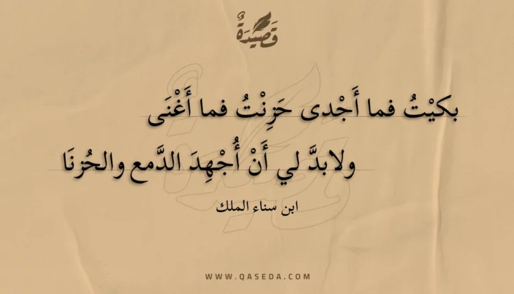 قصيدة بكيت فما أجدى حزنت فما أغنى