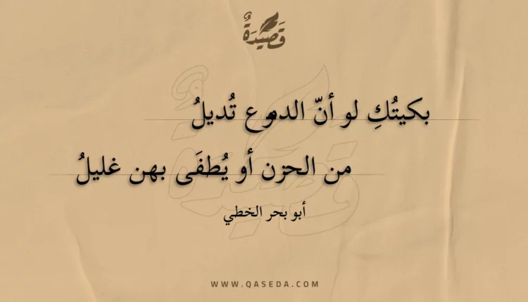 قصيدة بكيتك لو أن الدموع تديل