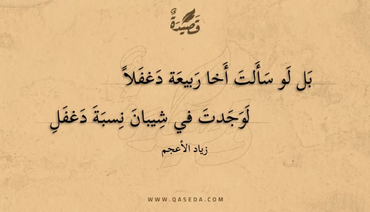 قصيدة بل لو سألت أخا ربيعة دغفلا