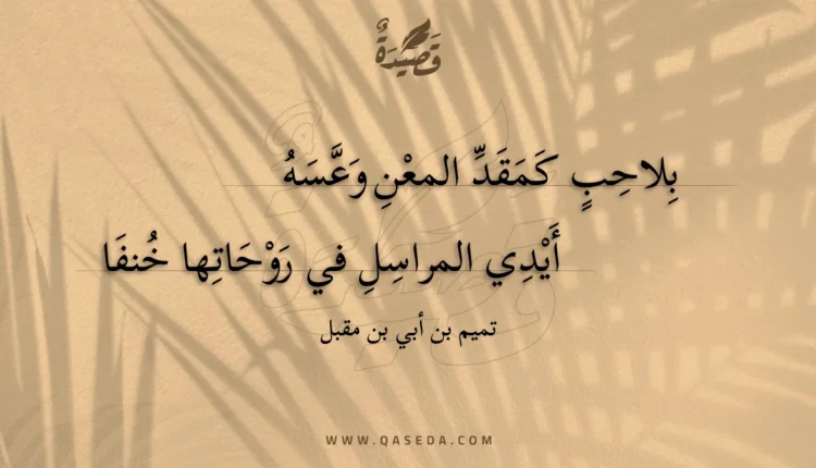 قصيدة بلاحب كمقد المعن وعسه