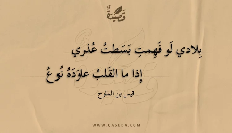 قصيدة بلادي لو فهمت بسطت عذري