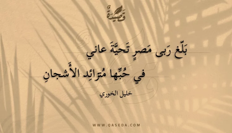 قصيدة بلغ ربى مصر تحية عاني