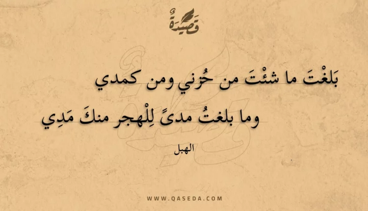 قصيدة بلغت ما شئت من حزني ومن كمدي