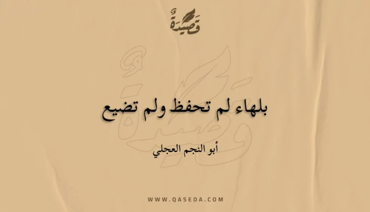 قصيدة بلهاء لم تحفظ ولم تضيع