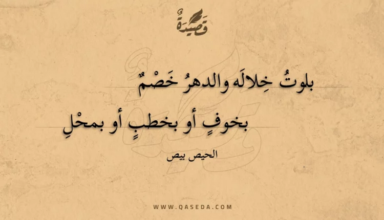 قصيدة بلوت خلاله والدهر خصم
