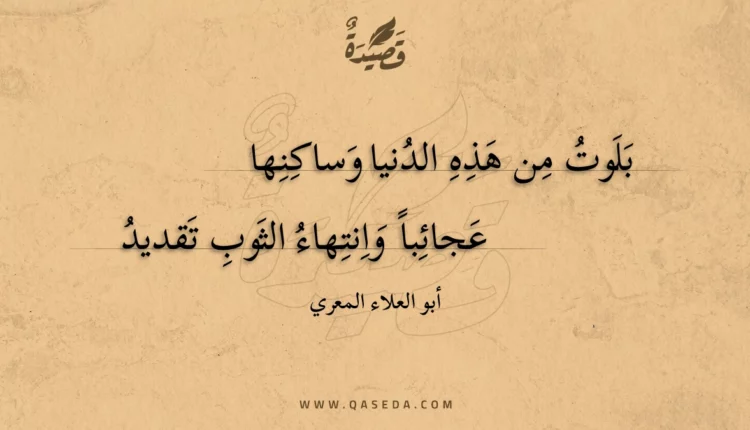 قصيدة بلوت من هذه الدنيا وساكنها