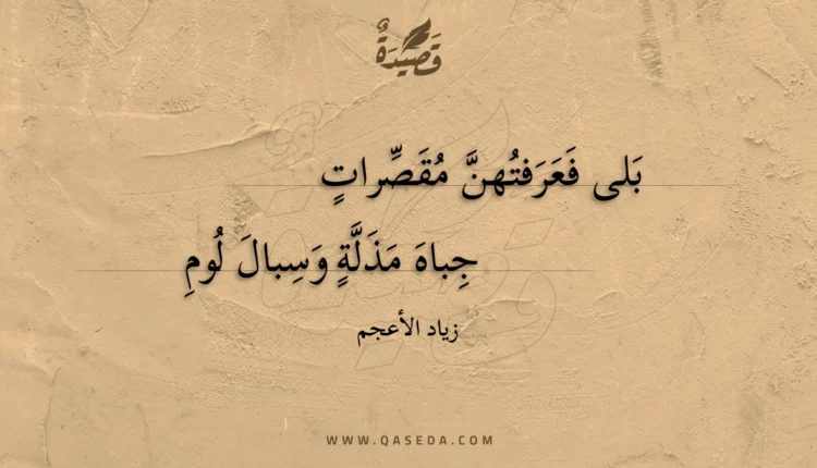 قصيدة بلى فعرفتهن مقصرات