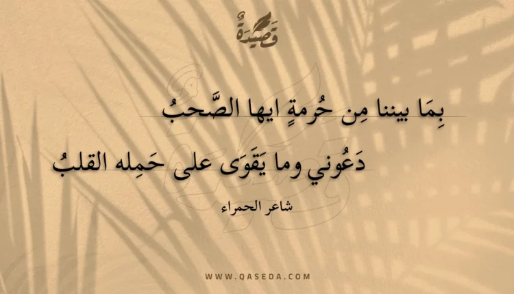 قصيدة بما بيننا من حرمة ايها الصحب