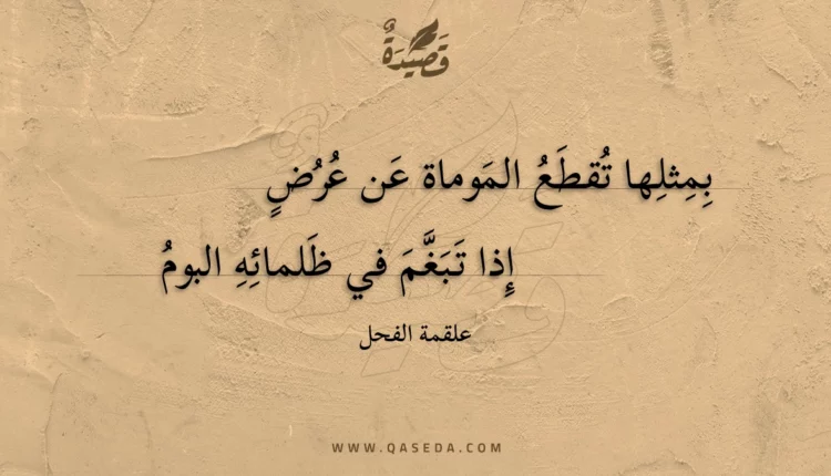 قصيدة بمثلها تقطع الموماة عن عرض