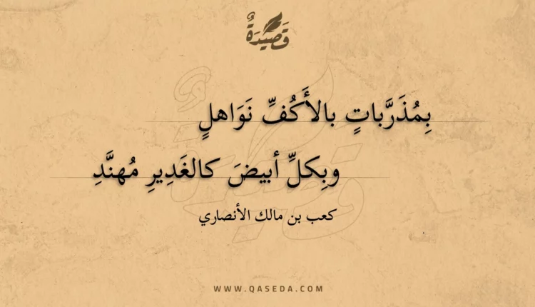 قصيدة بمذربات بالأكف نواهل