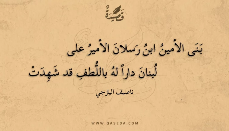 قصيدة بنى الأمين ابن رسلان الأمير على