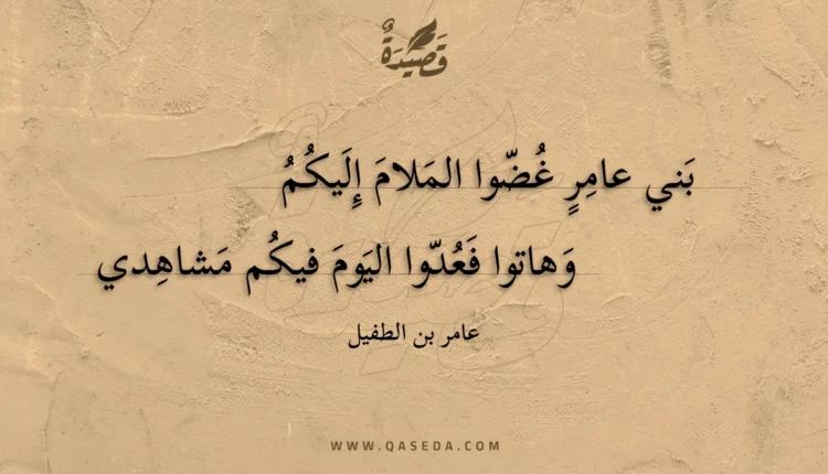قصيدة بني عامر غضوا الملام إليكم