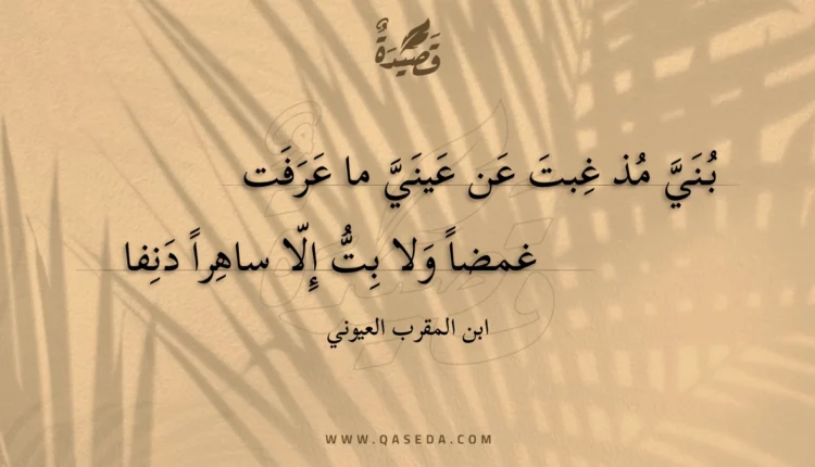 قصيدة بني مذ غبت عن عيني ما عرفت