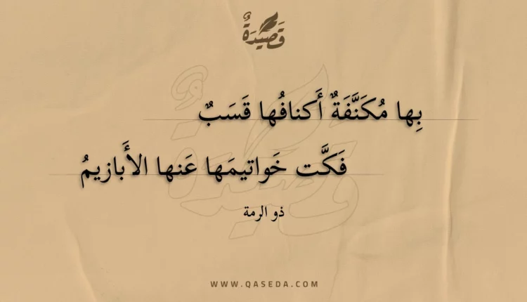 قصيدة بها مكنفة أكنافها قسب