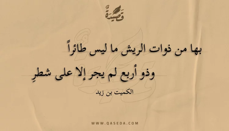 قصيدة بها من ذوات الريش ما ليس طائرا