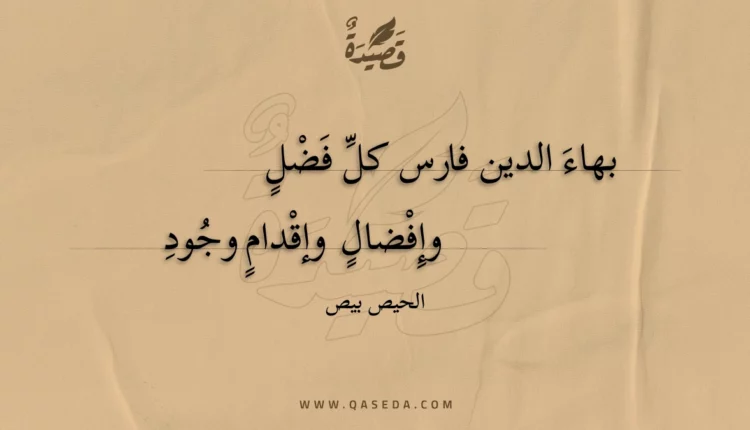 قصيدة بهاء الدين فارس كل فضل
