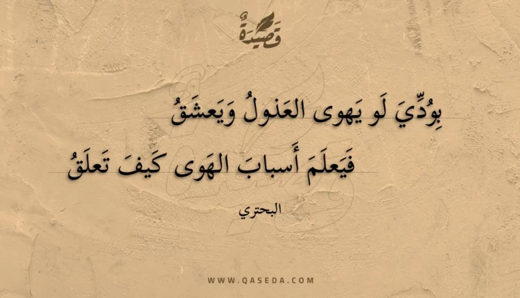 قصيدة بودي لو يهوى العذول ويعشق