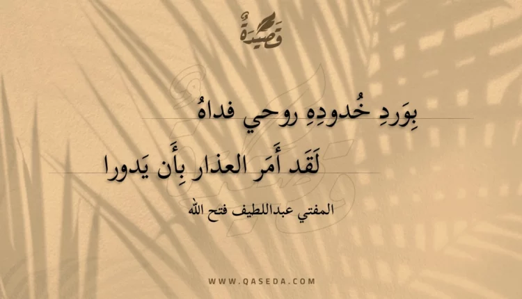 قصيدة بورد خدوده روحي فداه