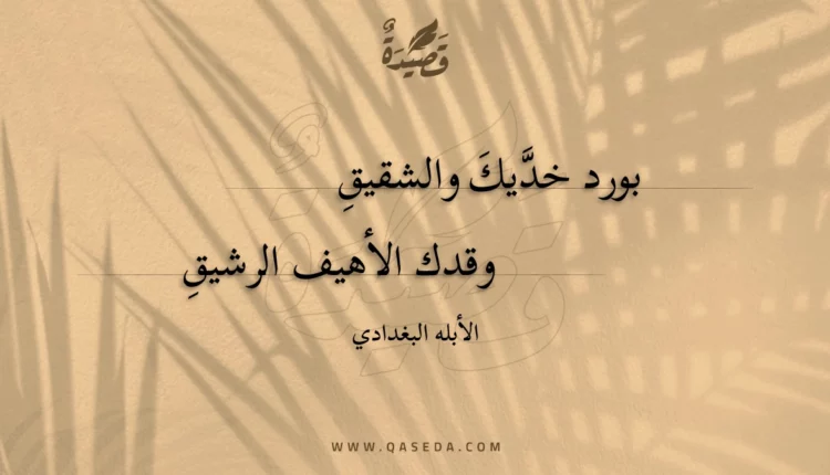 قصيدة بورد خديك والشقيق